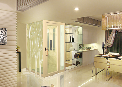 Home Elevator